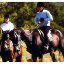 운악레저타운 이미지