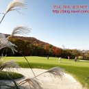 블루원상주골프리조트 이미지