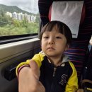 기차여행 이미지