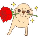 토리요시 네이버블로그