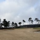 개님살롱레이크사이드 | 레이크사이드cc -남코스 In 라운드 후기