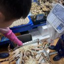 안면상회 | [노량진 수산시장 맛집] 킹크랩 &amp; 석화, 가리비 찐 후기 서비스에 감동한 동해수산 + 광주상회