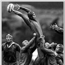 사진전람회 이미지