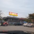 금남멧돼지 이미지