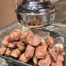 미친고기 이미지