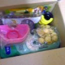 후레쉬 펫 푸드 이미지