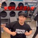 레온짐(LEON GYM) 이미지