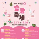 달콤가 투어코리아