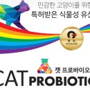 제이원피앤지 이미지