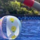 아스테리아펜션 이미지