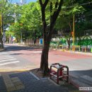 무인다방 경산옥산점 | 경산 옥산동 카페 - 알아서 척척 24시 커피판매점 무인카페 무인다방 경산옥산점