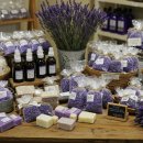 고운힐링팜 이미지