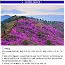 23년4월22 [토] 강화도 고려산 이미지