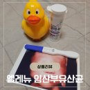 바이엘코리아㈜ | 임산부유산균 엘레뉴 프로바이오틱스 임산부철분변비
