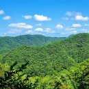 백야자연휴양림 이미지