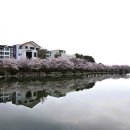 새천년공원길 이미지