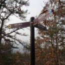 삼합리 마을회관 이미지