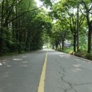 GS25 판교운중점 이미지