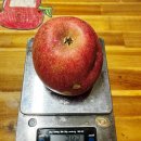 장성군농협조합공동사업법인 | 문경시조합농산물 가정용사과 부사 못난이사과 후기