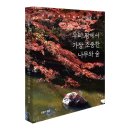 함평 기각리붉가시나무자생북한지 | 우리 땅에서 가장 소중한 나무와 숲_강철기
