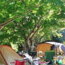 솔내음캠핑장 이미지