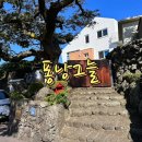 퐁낭그늘 이미지