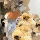 고양이미용사 임서영 이미지