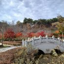 전북특별자치도산림박물관 이미지