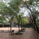 봉제산 오리나무쉼터 이미지