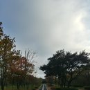 가시리별짱 이미지