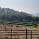 The머물다펜션 이미지