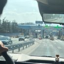 원주호텔이쁘다 | 나상명강릉순두부 애견동반 맞아?/너무예뻤던 눈❄️/원주 애견동반 카페 포레스트/원주 이쁘다 호텔/내돈내산