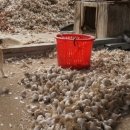 성구농장 이미지