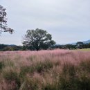 2024. 나주 블루투어- 미디어아트 제작과정 | APEC 2025 경주·부산 개막, 그러나 상권은 조용했다? 외국인 관광과 지역경제의 온도차