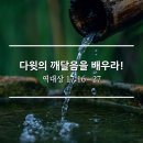 다윗 CO. 이미지