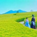 은애농장 이미지