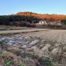 도화리농장 이미지