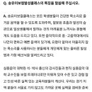 송유이보컬클래스