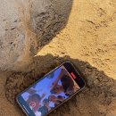 나무펜션 이미지