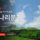 신비나리투어
