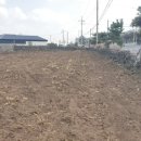 제주공감공인중개사사무소 이미지