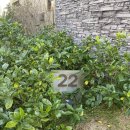 마빌릭 스파앤풀빌라 이미지