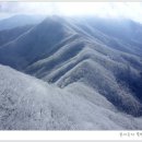 민주지산 삼도봉 산행 합니다 이미지