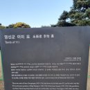 영신군 이이묘 | 작전동 - 영신군 이이묘