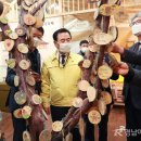 미니어처체험장