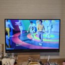 해피독쌤 | 251109 오사카 #2