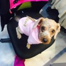 구미 JM 동물 메디컬 센터 이미지