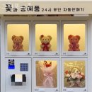 그린포시즌