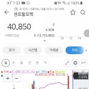 엠에스오토 이미지