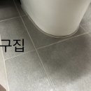 빅 | 안양줄눈시공, 집들이 갔다가 바로 결심한 이유 (빅라이언 후기)